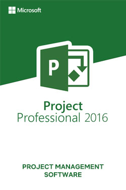 Microsoft Project 2016 Professional