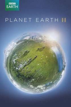 Planet Earth II : Cities