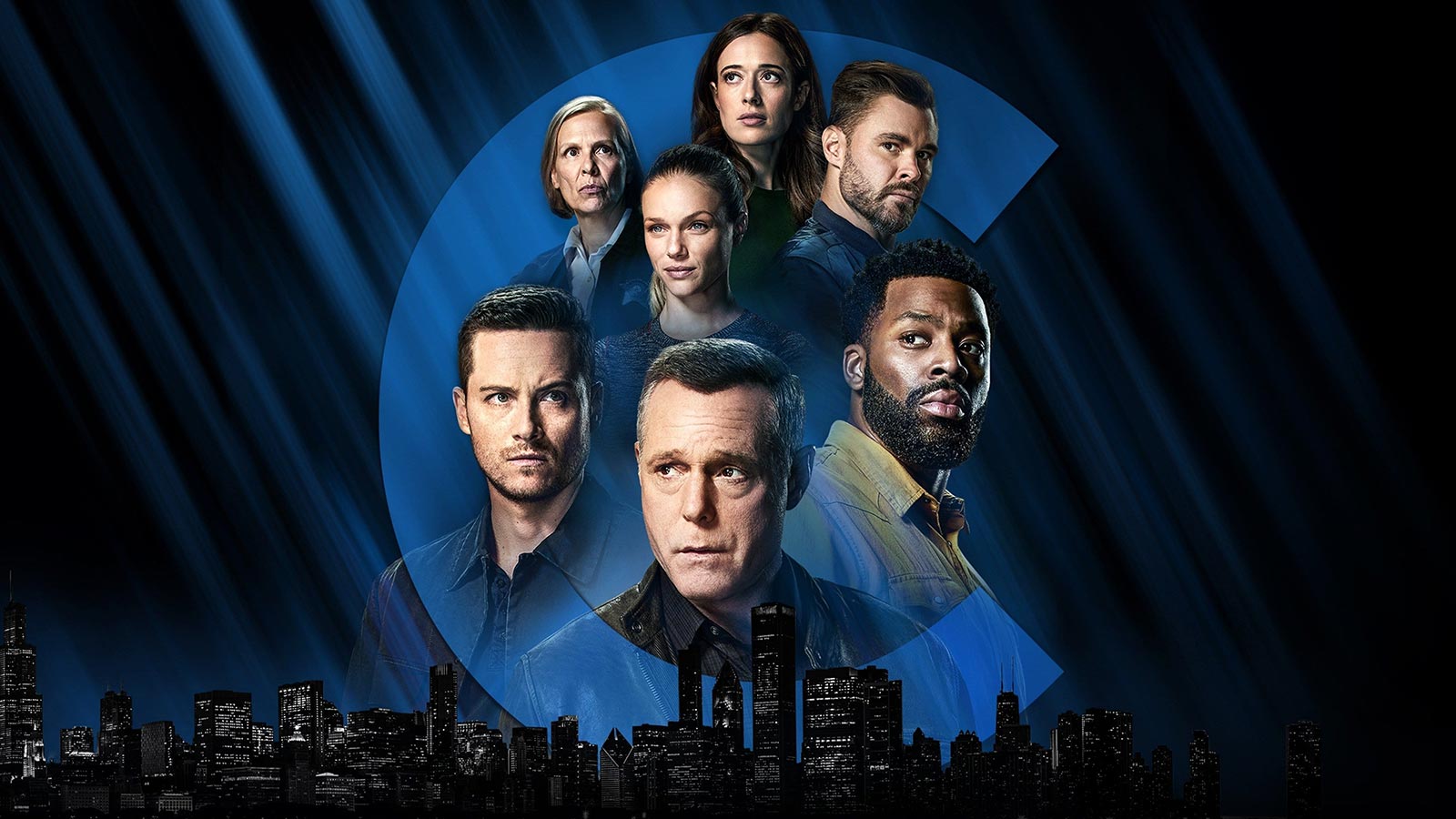 Chicago P.D. : End of Watch
