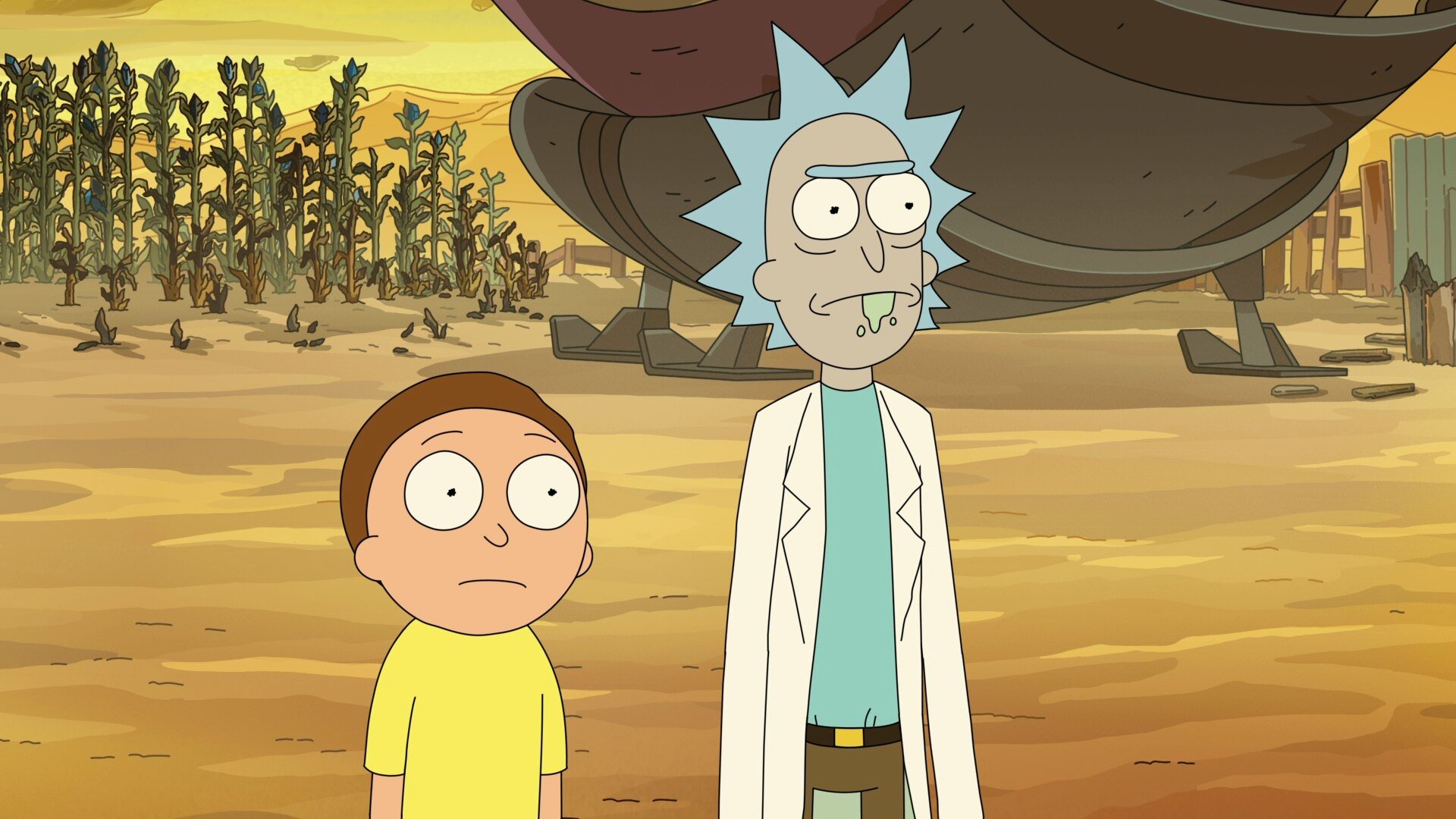 Rick and Morty : The Rick, The Mort & The Ugly