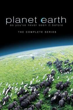 Planet Earth : Shallow Seas