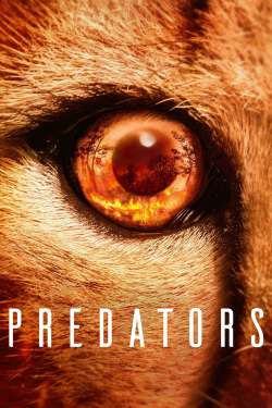 Predators : Polar Bear