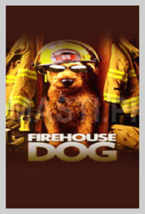 Firehouse Dog