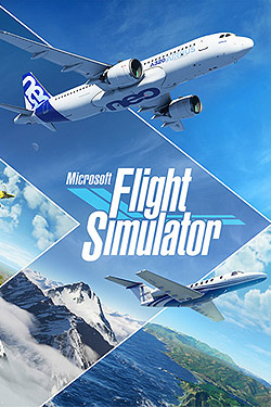 Microsoft Flight Simulator