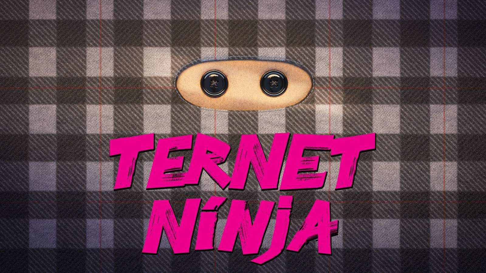 Ternet ninja