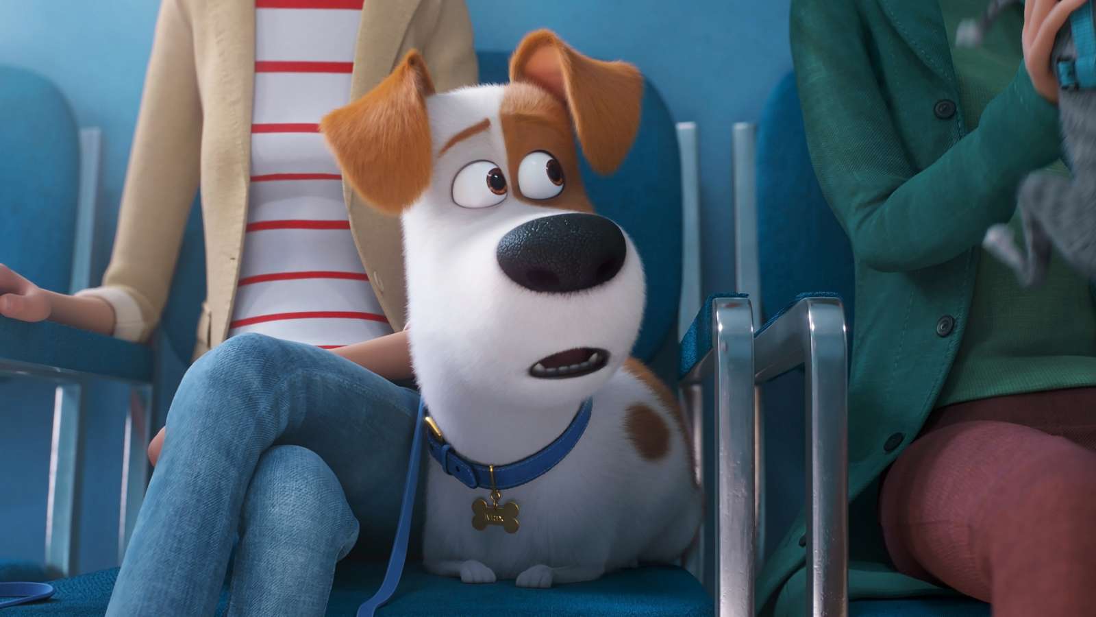 The Secret Life of Pets 2 (Dual Audio)