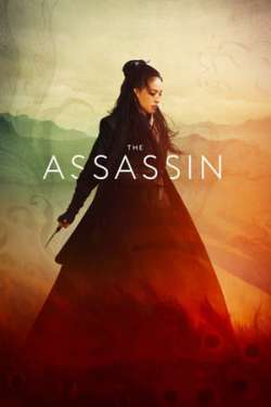 The Assassin (Hindi Dubbed)