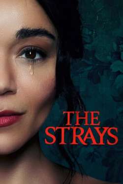 The Strays (Dual Audio)