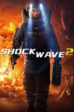 Shock Wave 2 (Hindi - Mandarin)
