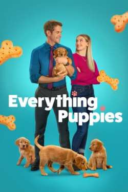 Everything Puppies - Puppies Everywhere