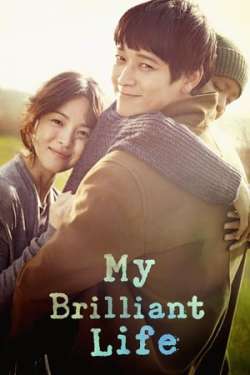 My Brilliant Life (Hindi - Korean)