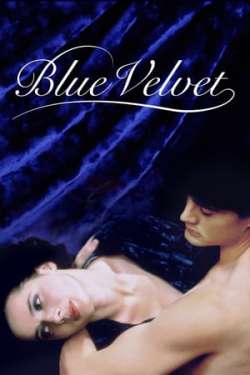 Blue Velvet (Dual Audio)