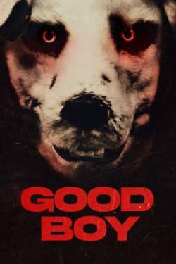 Good Boy (Hindi - Norwegian)