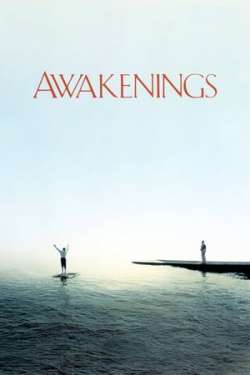 Awakenings (Dual Audio)