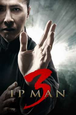 Ip Man 3 (Hindi Dubbed)