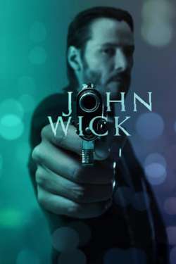 John Wick (Dual Audio)