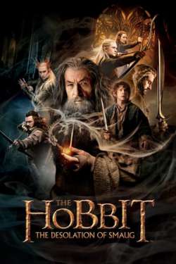 The Hobbit : The Desolation of Smaug (3D)