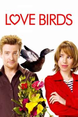 Love Birds (Dual Audio)