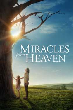 Miracles from Heaven (Dual Audio)