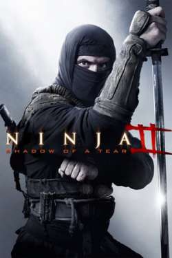 Ninja: Shadow of a Tear (Dual Audio)