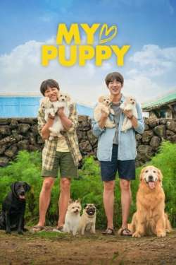 My Heart Puppy (Hindi Dubbed)