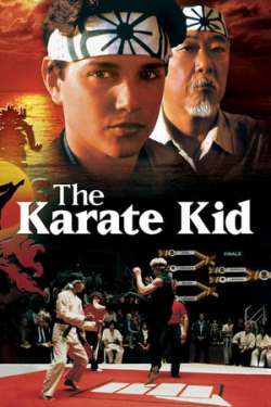 The Karate Kid (Dual Audio)