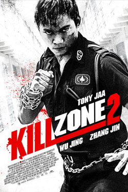 Kill Zone 2 (Hindi Dubbed)
