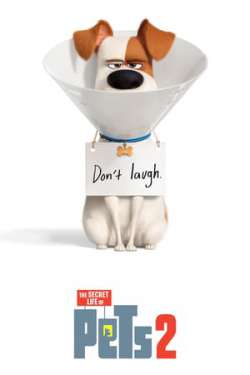 The Secret Life of Pets 2 (3D)