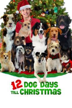 12 Dog Days of Christmas (Dual Audio)
