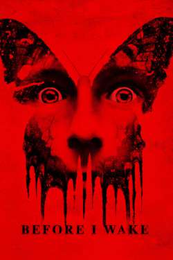 Before I Wake ( Dual Audio)