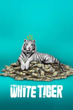 The White Tiger