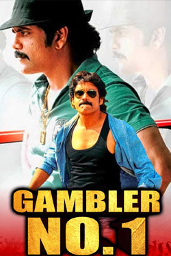 Gambler No 1 (Kedi)