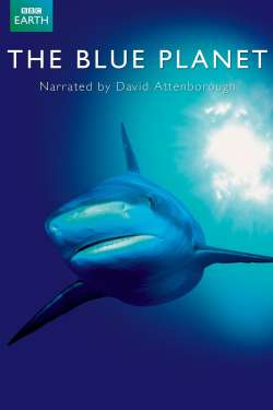 The Blue Planet : Ocean World